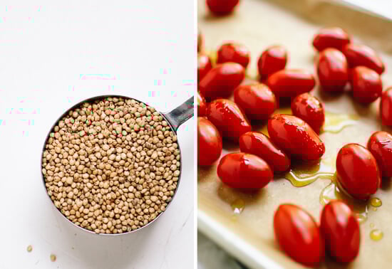 sorghum and cherry tomatoes