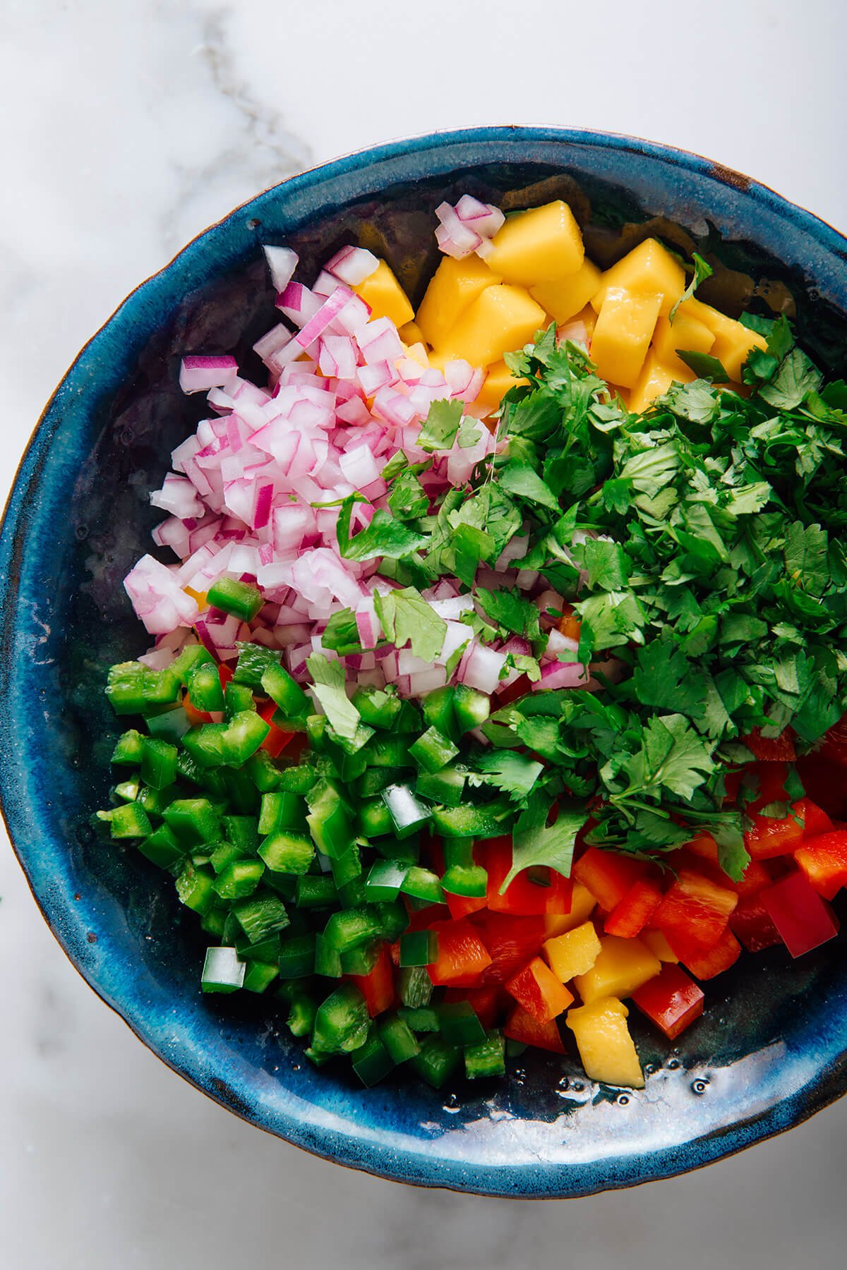 mango salsa before mixing