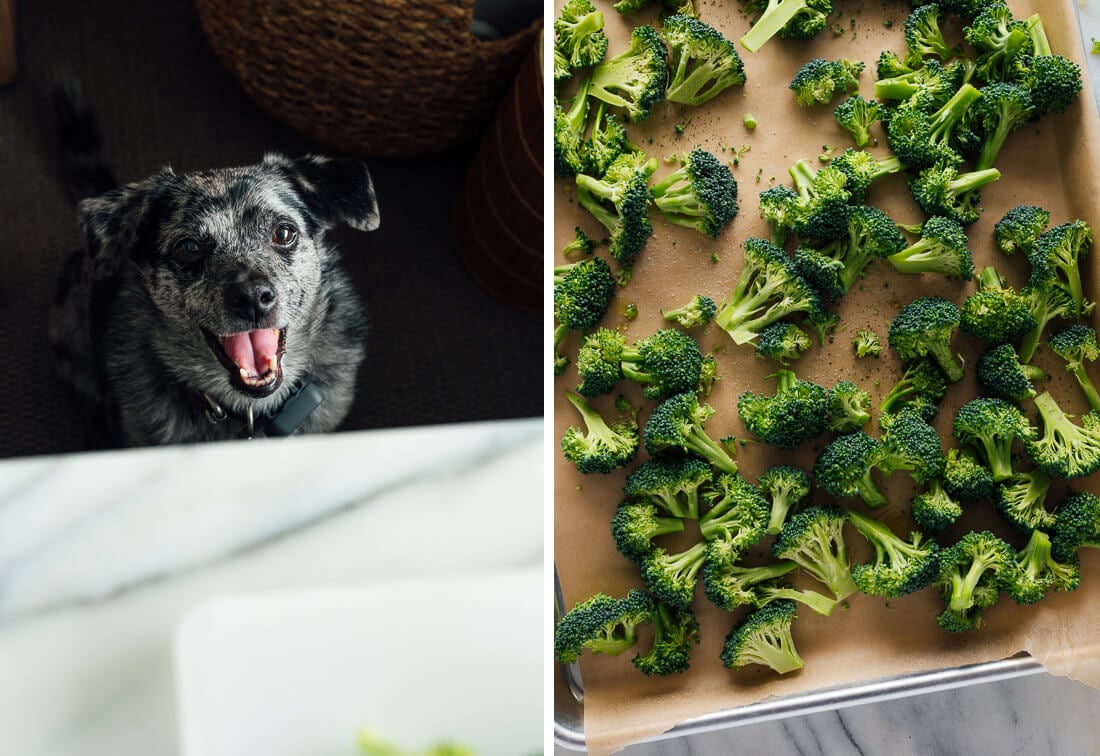 raw broccoli drizzled with olive oil
