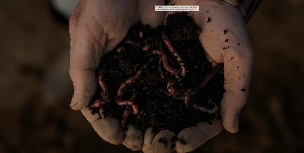 INTAG Bio research includes earthworms shown being held in hands