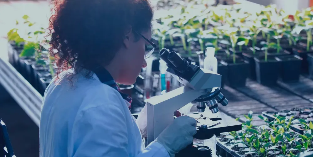 INTAG Bio researcher using microscope to view plant material