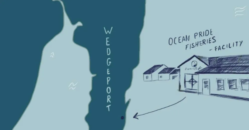 Map showing Wedgeport, Western Shore, Nova Scotia