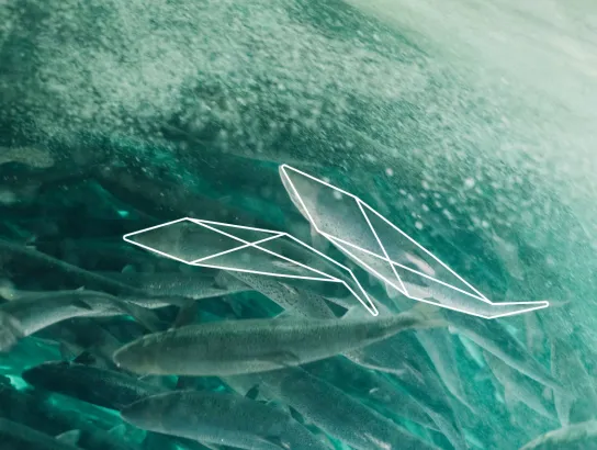 ReelData Raises US$8M