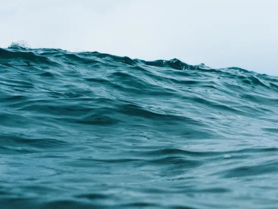 Fishing Where the Fish Thrive. Like the ocean itself, the ocean tech industry depends on a healthy ecosystem