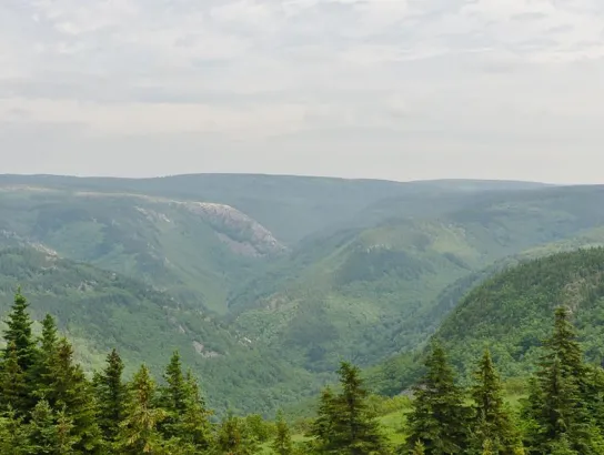 Boosting Nova Scotia’s bioeconomy and innovating a new model for industry