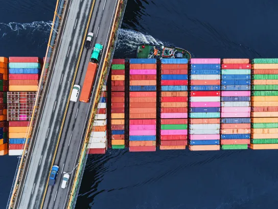 Container Ship Under Bridge