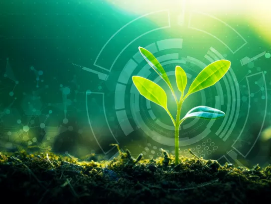 Six Start-Ups Selected for Latest GreenShoots Program