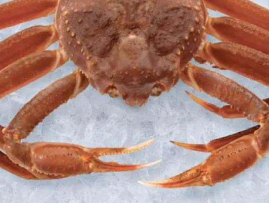 45° North 63° West – Nova Scotia Seafood. Pure.