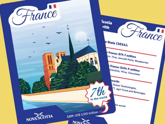 NSGOV Trading Cards for France