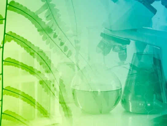 TMI - Nutraceutical Products