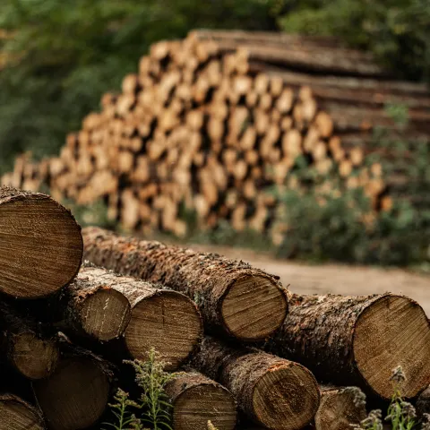 Nova Scotia Bioeconomy