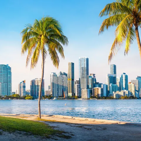 Miami Skyline