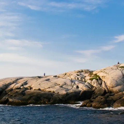 Launch Export Info Session 2025 - Lure image