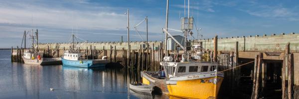 Know your Fisherman, on a Global Scale