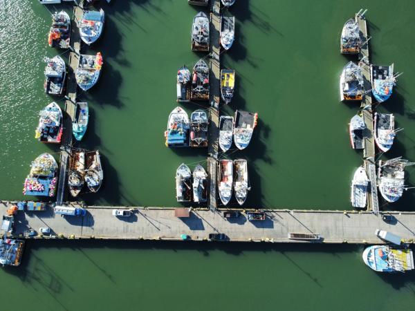 Know your Fisherman, on a Global Scale