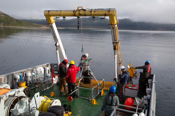 Crew work onboard a ship (Photo credit: Evermaven/Oceana Canada 2019)