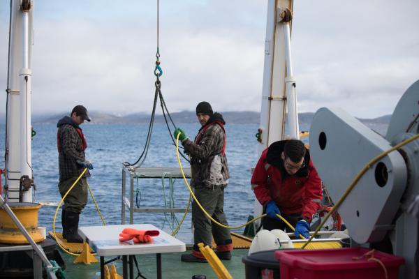 Crew work onboard a ship (Photo credit: Evermaven/Oceana Canada 2019)