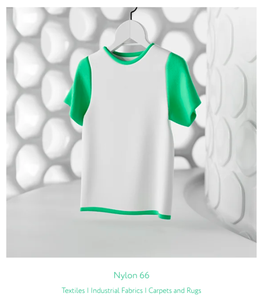 Graphic depicting OzoneBio's Nylon 66 Textiles | Industrial Fabrics | Carpets and Rugs