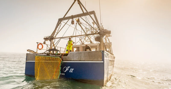 Blue fishing boat on ocean used for harvesting sea cucumbers