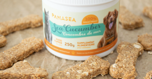 Dog bones created with sea cucumber displayed by product container