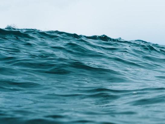 Fishing Where the Fish Thrive. Like the ocean itself, the ocean tech industry depends on a healthy ecosystem