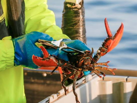Nova Scotia seafood companies are reaching new markets in Europe 