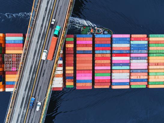 Container Ship Under Bridge