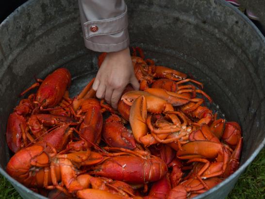 Know your Fisherman, on a Global Scale