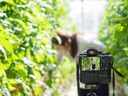 Program Spotlight: The agri-food industry uses video to tell the whole story