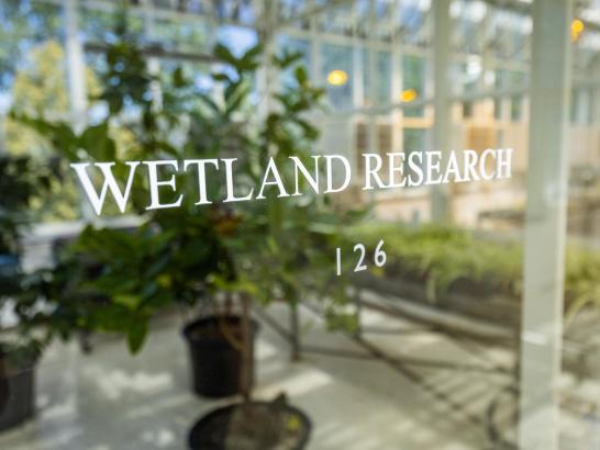 PIVP cohort banner image