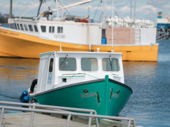Yellow and green fishing Boats